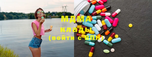 шишки Няндома