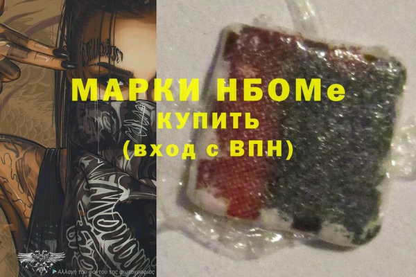 шишки Няндома