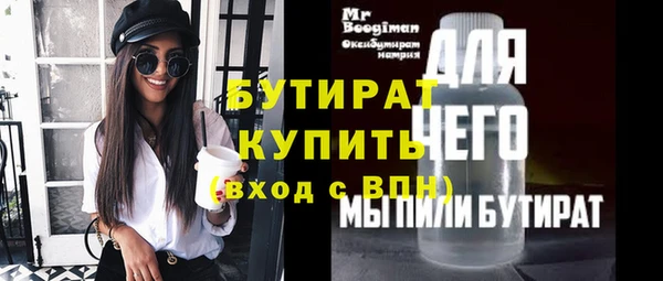 шишки Няндома