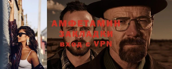 шишки Няндома