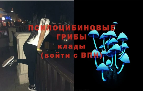 Альфа ПВП Лихославль