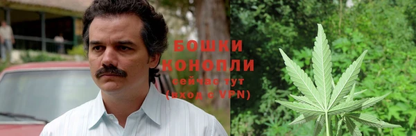 шишки Няндома