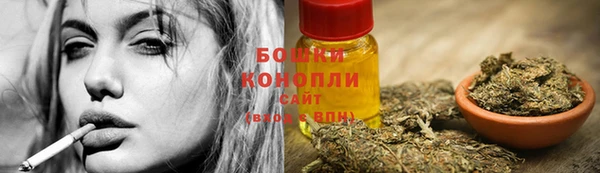 гидра Нязепетровск