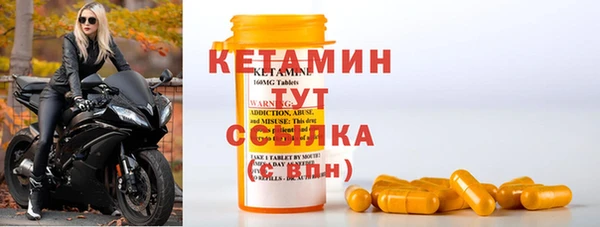 шишки Няндома