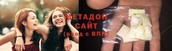 шишки Няндома