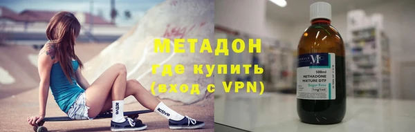 шишки Няндома