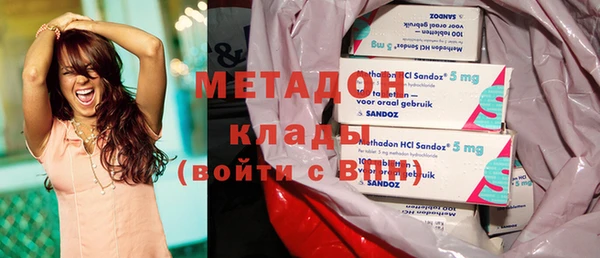 шишки Няндома