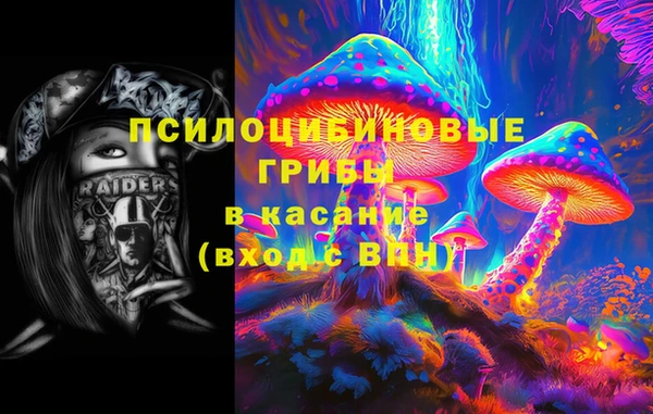 PSILOCYBIN Дмитров