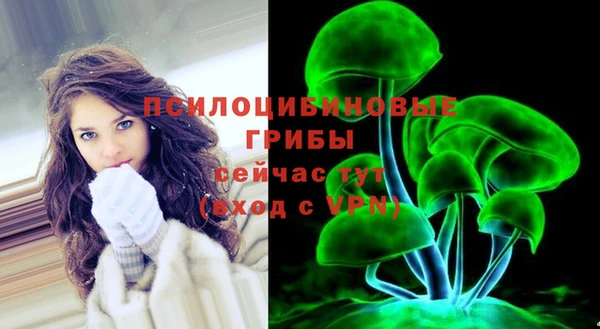 шишки Няндома