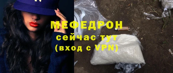 шишки Няндома