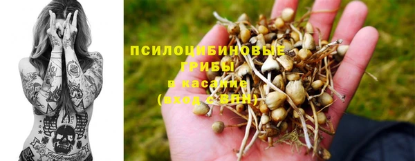 таблы Осташков