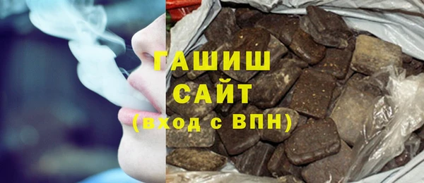 шишки Няндома