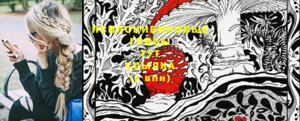 таблы Осташков