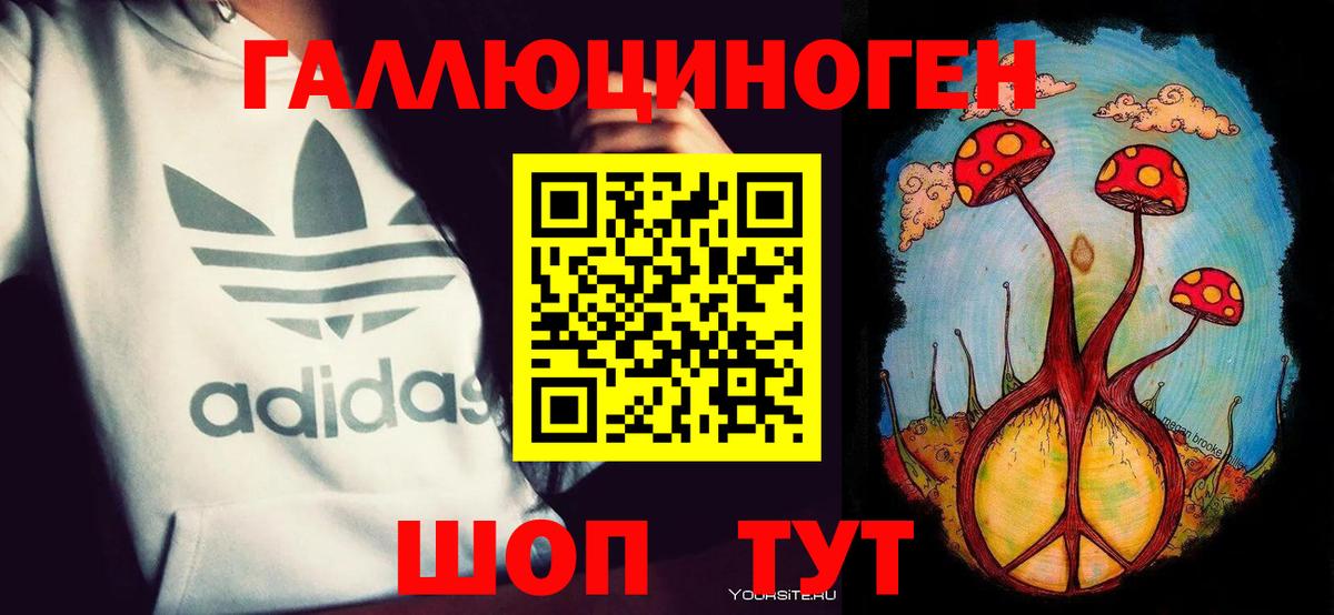 Галлюциногенные грибы Cubensis Кропоткин