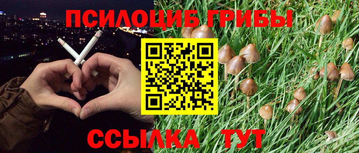 Псилоцибиновые грибы мухоморы Кропоткин